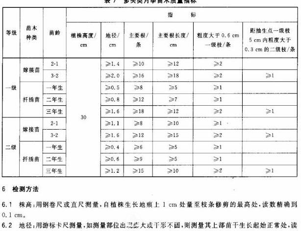 月季苗的質(zhì)量行業(yè)標(biāo)準(zhǔn)(圖3)