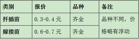 南陽月季小苗批發(fā)價(jià)格-月季嫁接苗扦插苗報(bào)價(jià)！(圖2)