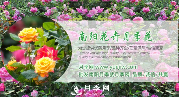 花木經(jīng)濟學的七條規(guī)律(圖1)