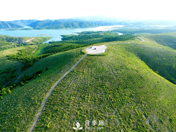 河南石漠化土地集中在南陽，淅川石漠化面積占南陽85%(圖1)