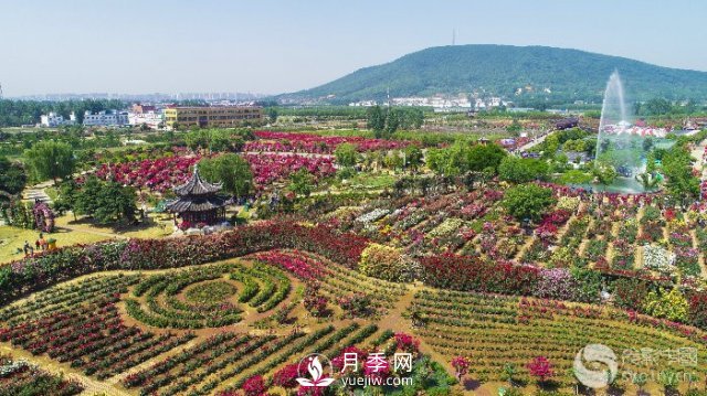 解讀南陽三水三山，助力綠色生態(tài)發(fā)展(圖2)