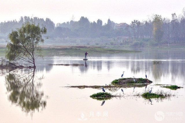 解讀南陽三水三山，助力綠色生態(tài)發(fā)展(圖5)