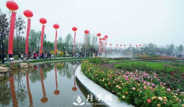 露天陽臺(tái)以及樓頂種植月季配土的標(biāo)準(zhǔn)(圖1)