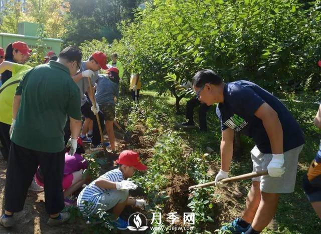 北京石景山 月季花開惹人醉(圖6)