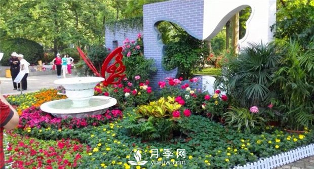 鄭州市2015年第二十一屆月季花展景觀(圖5)