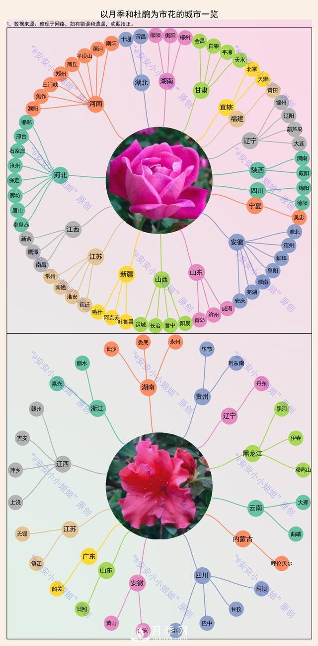 市樹(shù)市花地圖：月季、杜鵑、香樟、國(guó)槐(圖1)