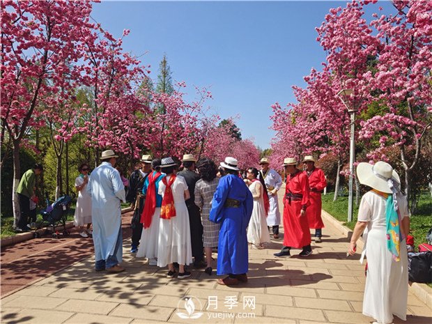 定位為月季主題公園，昆明呈貢區(qū)將集中打造彩云公園(圖1)