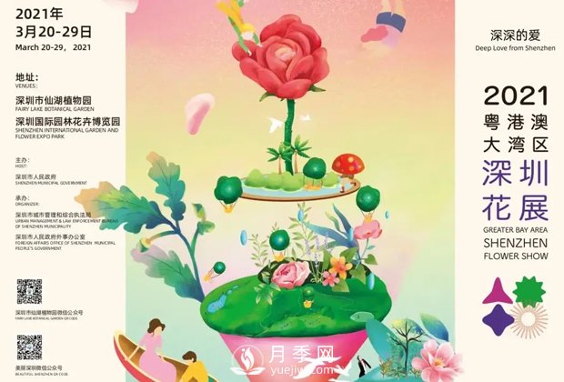 2021粵港澳大灣區(qū)深圳花展將展出月季新優(yōu)品種超100個(gè)(圖2)