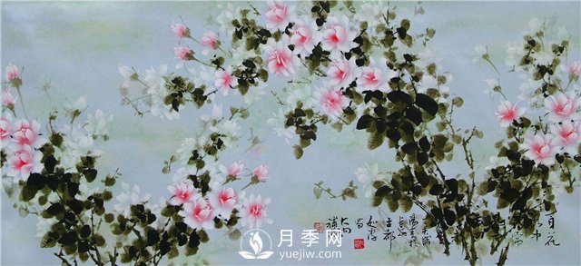 “月季花濕法畫(huà)法**人”王躍進(jìn)廈門(mén)辦專題月季展(圖1)