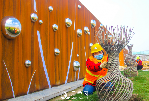 河南南陽：扮亮世界月季大觀園 喜迎世界月季博覽會(圖1)