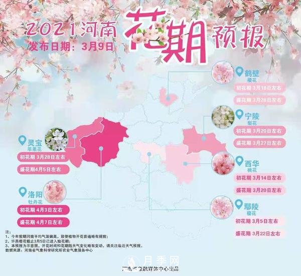 河南省氣象局發(fā)布花期地圖 洛陽牡丹花4月3日進入初花期(圖1)