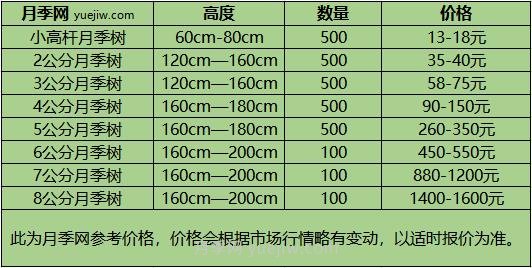 1-10公分月季樹價格是多少？樹狀月季5月報價單！(圖1)