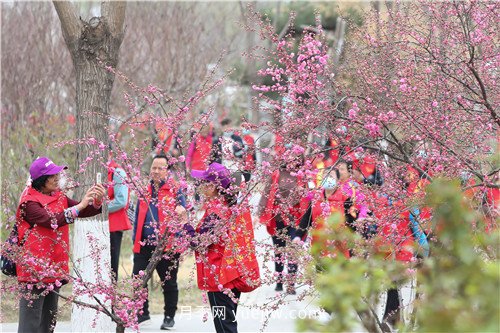 北京大興區(qū)“走進魏善莊 相約月季花開”徒步活動成功舉辦(圖3)