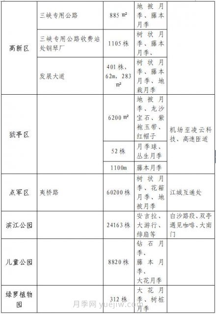 四月盛放的月季時間，湖北宜昌給你的專屬浪漫花園(圖10)