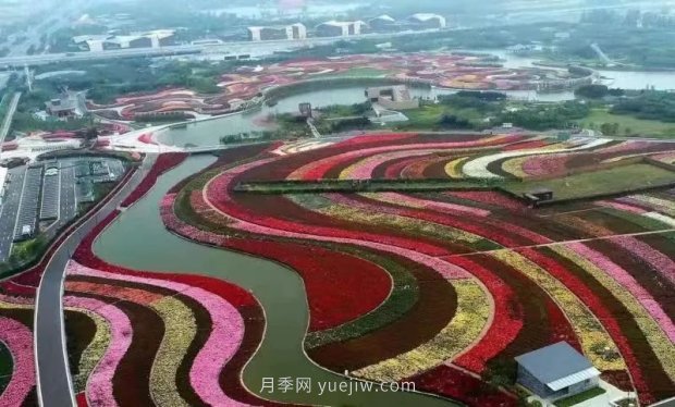 第十二屆南陽(yáng)月季花會(huì)4月29日開(kāi)幕，花事活動(dòng)提前報(bào)(圖1)