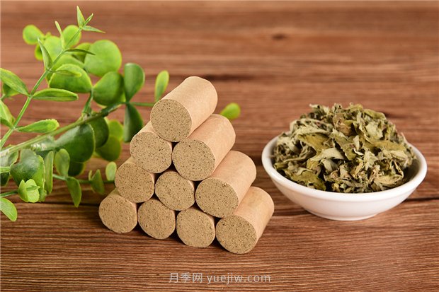 南陽(yáng)宛艾產(chǎn)業(yè)協(xié)會(huì)舉辦艾草研討會(huì)，把宛艾做成中國(guó)名片(圖1)