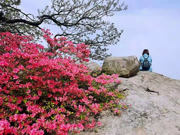 南陽(yáng)桐柏：紅綠旅游總相宜(圖2)