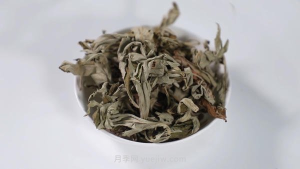 南陽艾草產業(yè)蓬勃發(fā)展的背后原因是為什么？(圖1)