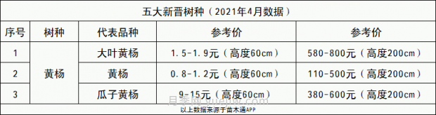 春季***近一個(gè)月成交量***高的十大苗木排行榜(圖11)