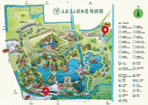 辰山植物園 現(xiàn)代月季之路(圖12)