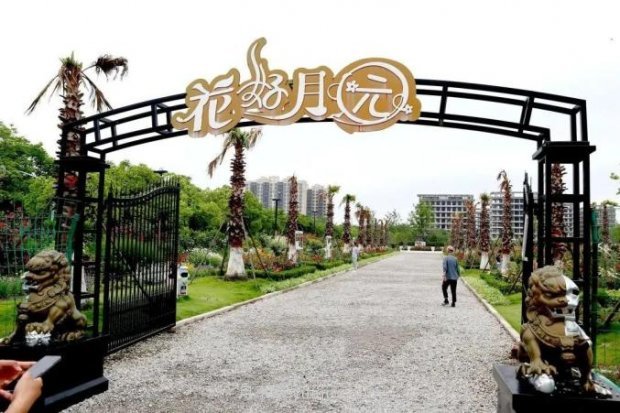 上海閔行區(qū)花好月園公園，萬株月季怒放快來品(圖1)