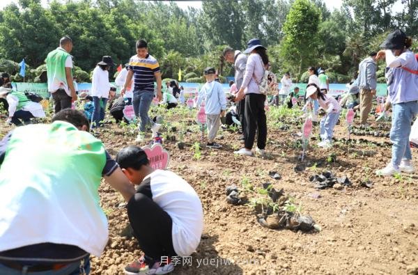 漯河城管園林科研所，邀請(qǐng)400余位市民花田體驗(yàn)栽花(圖3)