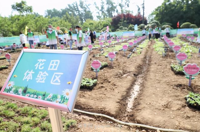 漯河城管園林科研所，邀請(qǐng)400余位市民花田體驗(yàn)栽花(圖1)