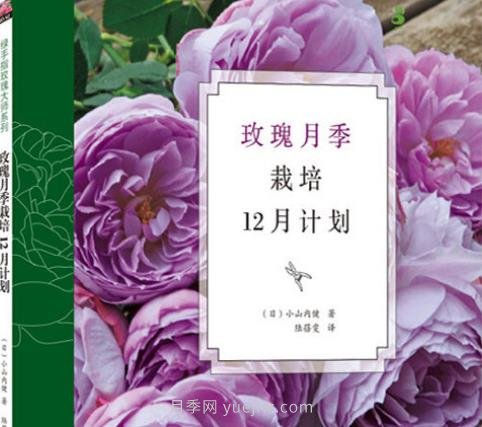 月季圖書：小山內(nèi)健《玫瑰月季栽培12月計(jì)劃》(圖1)