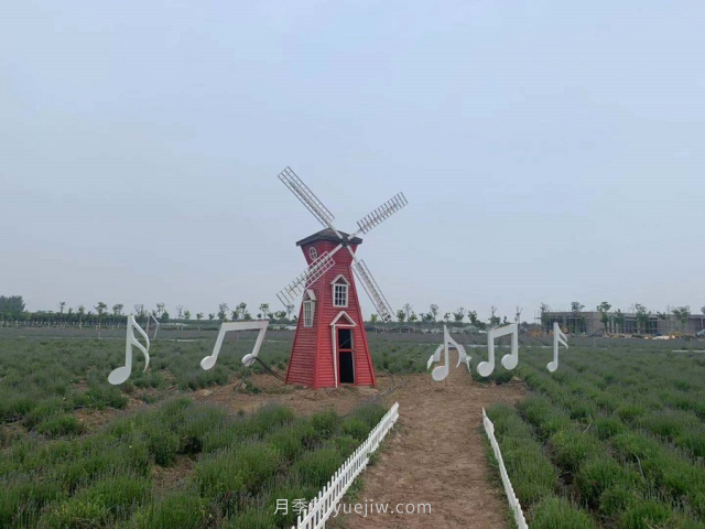 聊城芳香文化博覽園，鄉(xiāng)村振興巾幗示范基地(圖3)