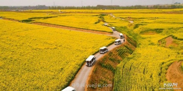 河北高質(zhì)量建設(shè)現(xiàn)代農(nóng)業(yè)產(chǎn)業(yè)園(圖3)