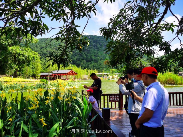 南寧青秀山景區(qū)推出水生花卉觀賞季(圖3)