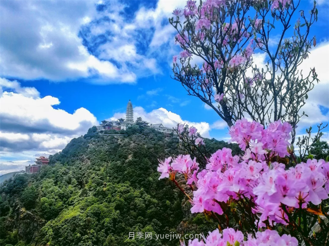 七月，邂逅大理雞足山極致風(fēng)光！(圖1)