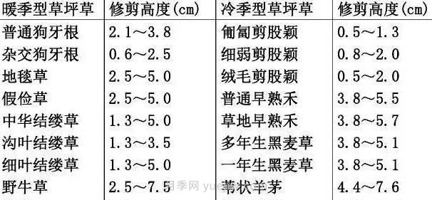 景觀草坪修剪全攻略，實用干貨分享(圖2)