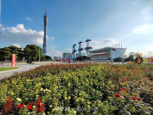 廣州花城廣場月季花海爭奇斗艷(圖6)