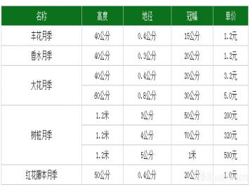 月季花多少錢(qián)一株？月季花的繁殖方法和養(yǎng)殖方法