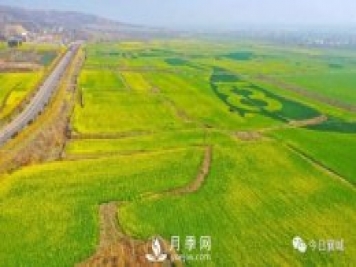 許昌襄城第四屆首山油菜花旅游文化節(jié)