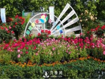 鄭州市2015年第二十一屆月季花展景觀