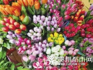 貴陽(yáng)近期鮮花漲價(jià) 玫瑰花賣到70元一把