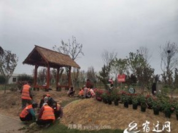 醉美泗陽，月季花海，第十一屆中國月季展覽會4月28日開幕