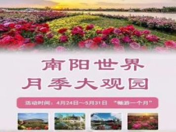 第十二屆南陽月季花會(huì)4月29日開幕，活動(dòng)豐富多彩