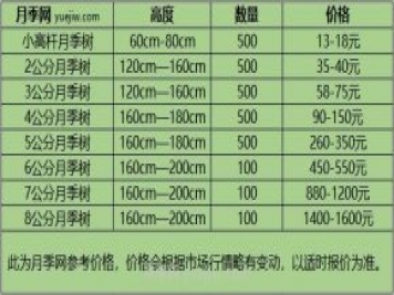 1-10公分月季樹價格是多少？樹狀月季5月報價單！