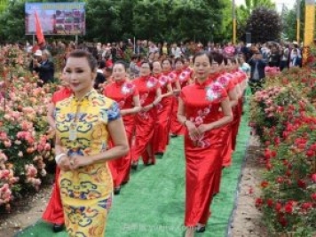 西安鄠邑區(qū)首屆月季花節(jié)開幕，爭奇斗艷迎賓客