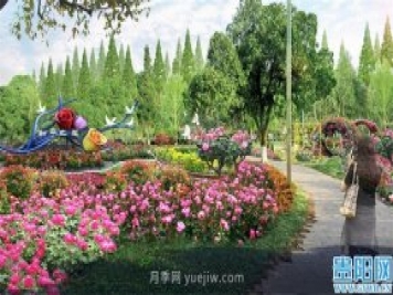 2021年貴陽(yáng)花溪公園精品月季花卉展即將對(duì)外開放