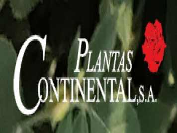 月季育種家：西班牙大陸育種公司(Plantas Continental)