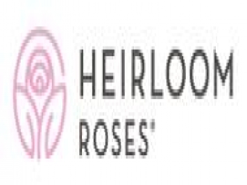 月季育種家：美國傳家寶月季公司(Heirloom Roses)