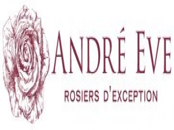 月季育種家：法國Roses Anciennes André Eve(安德烈伊芙)