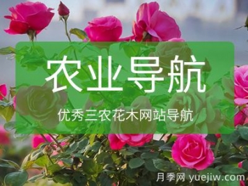 農(nóng)業(yè)網(wǎng)址導(dǎo)航_十大農(nóng)業(yè)網(wǎng)站