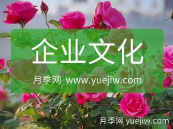 月季網(wǎng)企業(yè)文化