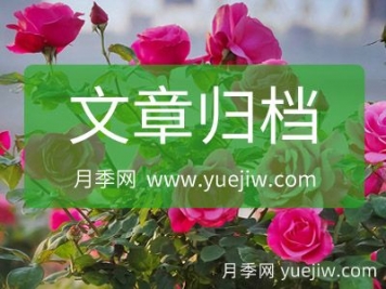 月季網(wǎng)網(wǎng)站地圖