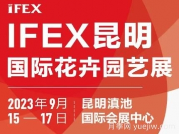 9月15日第二十一屆中國昆明國際花卉展舉辦